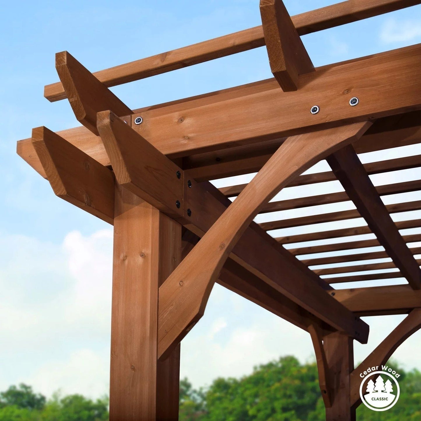 12 x 10 Pergola