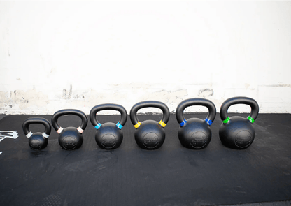Muscle D Intermediate Fitness Kit