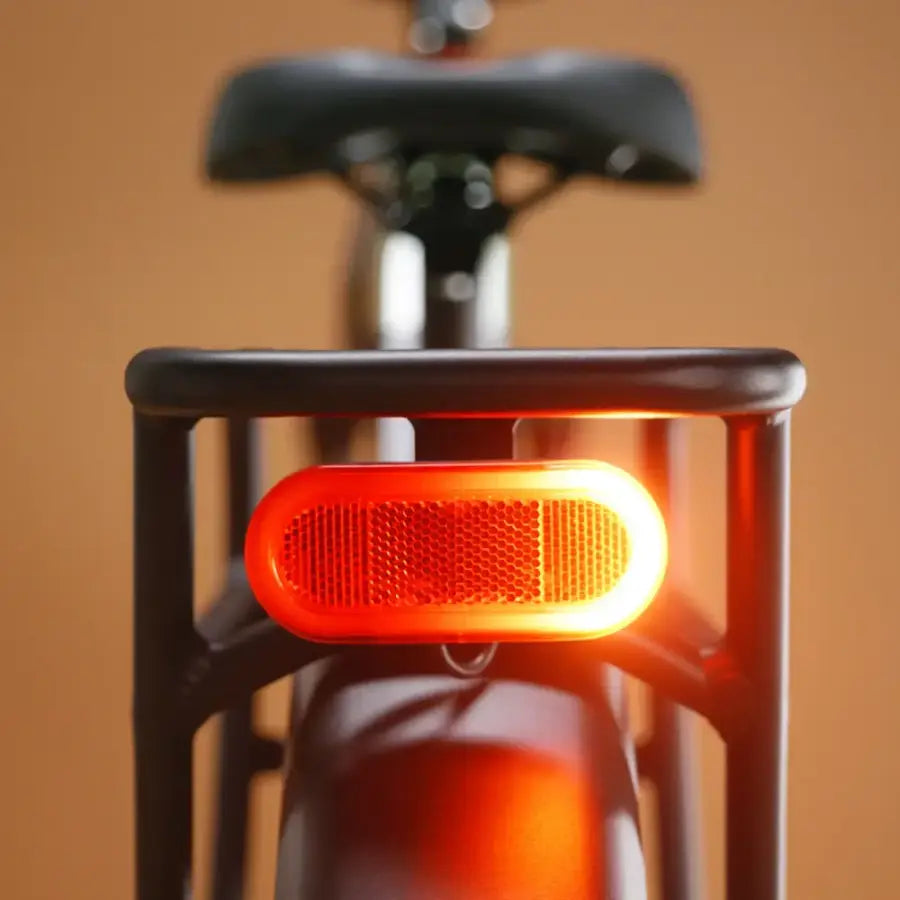 Rad Power Bikes Radsters Trail Electric Off-Road Bikes