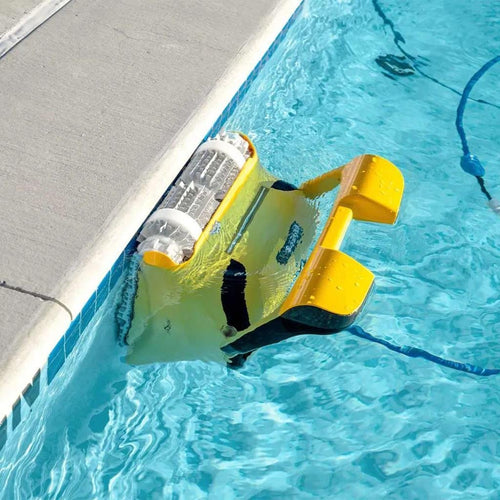 Dolphin Wave 80 Commercial Robotic Pool Cleaner